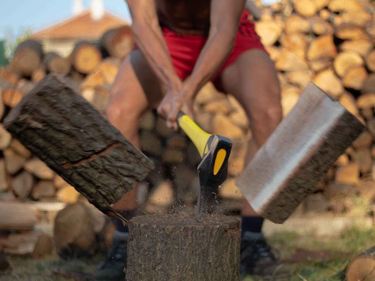 Best Tree Trimming and Pruning  in Lewiston, MN